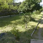 Casa Do Ribeirinho Gospodarstwo agroturystyczne Amarante