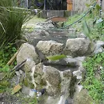 Gospodarstwo agroturystyczne Casa Do Ribeirinho Amarante