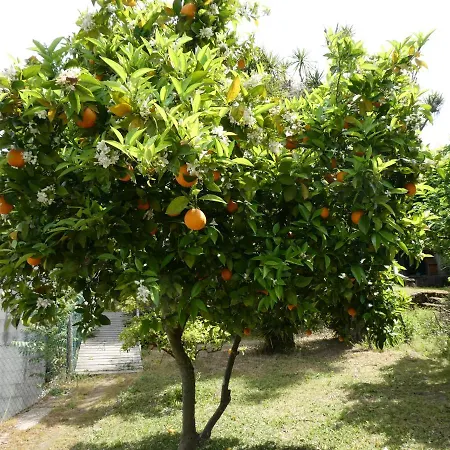Casa Do Ribeirinho *