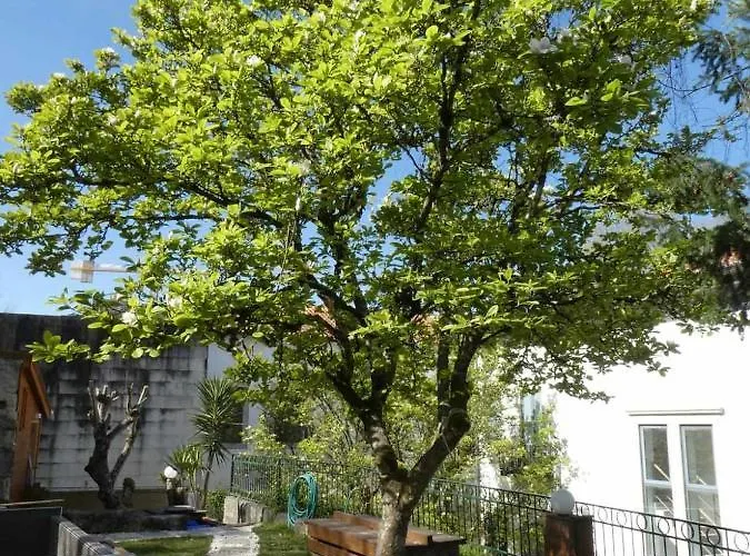 Casa Do Ribeirinho Séjour à la ferme *