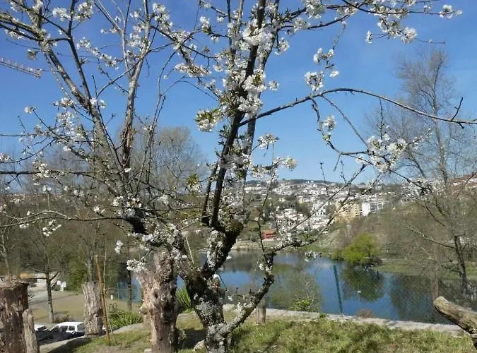 Casa Do Ribeirinho *