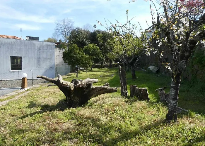 Casa Do Ribeirinho * Amarante