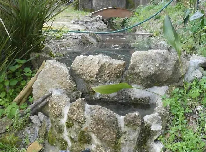 Séjour à la ferme Casa Do Ribeirinho Amarante